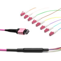 MTP&reg; to 8x LC-Simplex Multimode OM4 Breakout cable | 8 Cores, MPO compliant, 50/125 &#181;m, purple, 0.5 m - 100 m