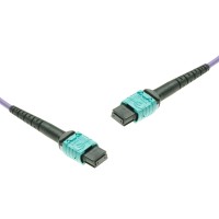 MTP&reg; to MTP&reg; Multimode OM4 cable | 24 Cores, MPO compliant, 50/125 &#181;m, purple, 0.5 m - 100 m