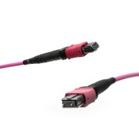 MTP&reg; to MTP&reg; Multimode OM4 cable | 8 Cores, MPO compliant, 50/125 &#181;m, purple, 0.5 m - 100 m