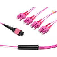 MTP&reg; to 4x SC-Duplex Multimode OM4 Breakout cable | 8 Cores, MPO compliant, 50/125 &#181;m, purple, 0.5 m - 100 m